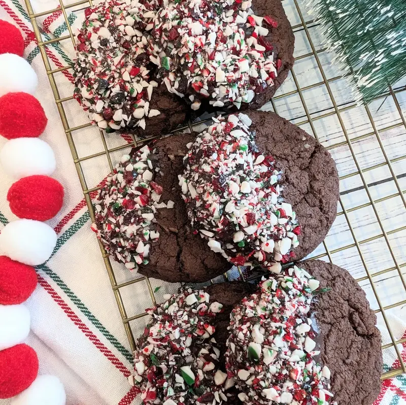 Chocolate Candy Cane